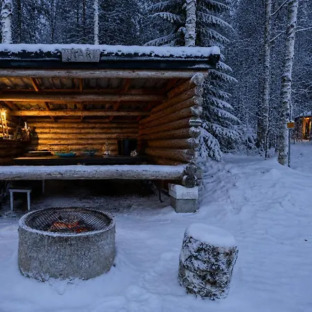 Private Aurora Glass Cabin & Lakeside Villa With Finnish Sauna *