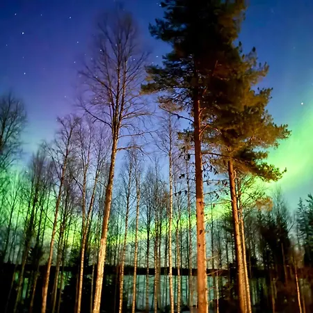 Chalet Private Aurora Glass Cabin & Lakeside Villa With Finnish Sauna Ranua